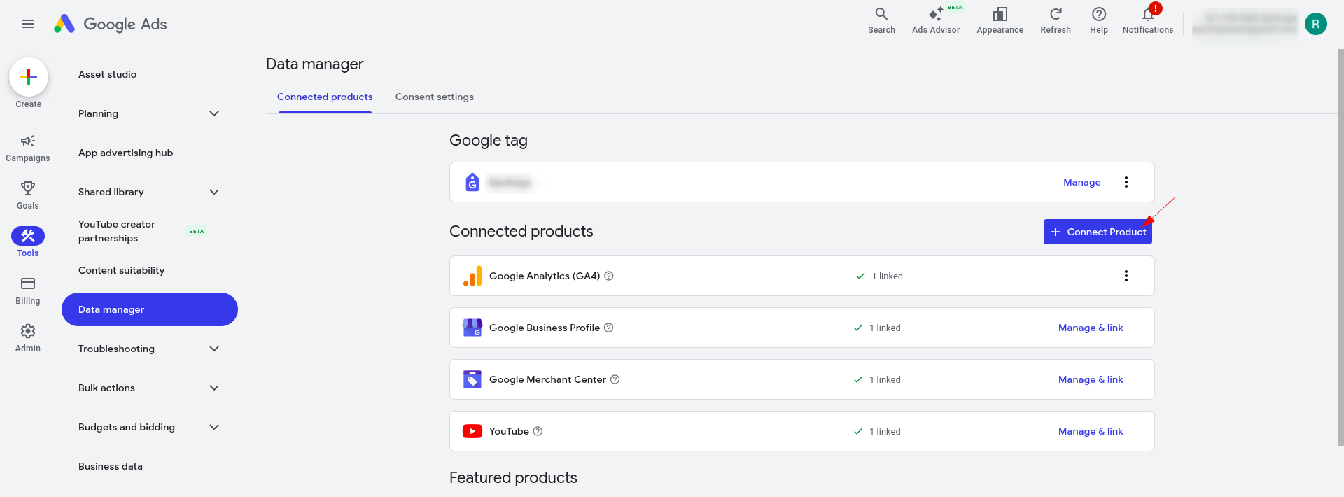 Google Ads Data Manager 
